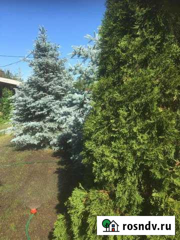 Дача 45 м² на участке 5 сот. на продажу в Нежинке Нежинка - изображение 1