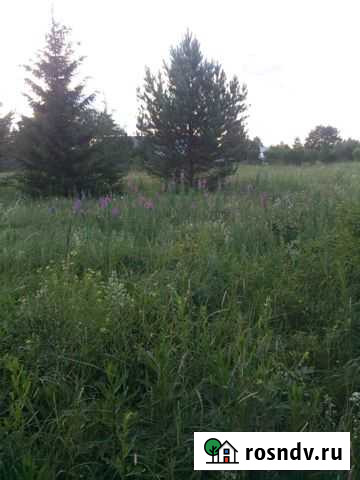 Участок ИЖС 12 сот. на продажу в Стрижах Стрижи - изображение 1