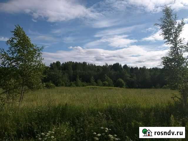 Участок ИЖС 150 сот. на продажу в Стругах Красных Струги Красные - изображение 1