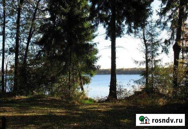 Дом 54 м² на участке 25 сот. на продажу в Невеле Невель - изображение 1