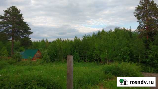 Участок СНТ, ДНП 6 сот. на продажу в Выльгорте Выльгорт - изображение 1