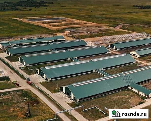 Производство 10000 кв.м. Северная - изображение 1