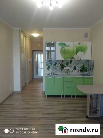 Квартира-студия, 25 м², 12/19 эт. на продажу в Долгопрудном Долгопрудный - изображение 1