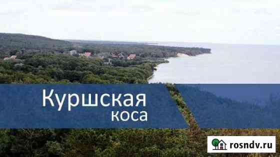 Дом 50 м² на участке 5 сот. в аренду посуточно в Зеленоградске Зеленоградск