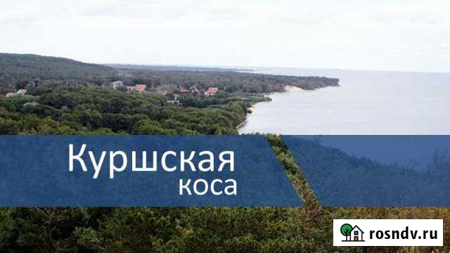 Дом 50 м² на участке 5 сот. в аренду посуточно в Зеленоградске Зеленоградск - изображение 1