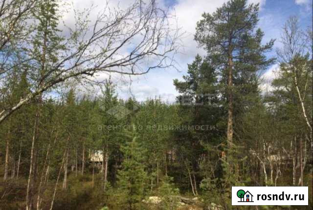 Участок СНТ, ДНП 15 сот. на продажу в Коле Кола - изображение 1