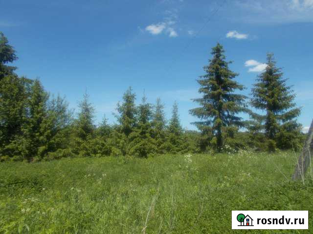 Участок ИЖС 78 сот. на продажу в Новосокольниках Новосокольники - изображение 1