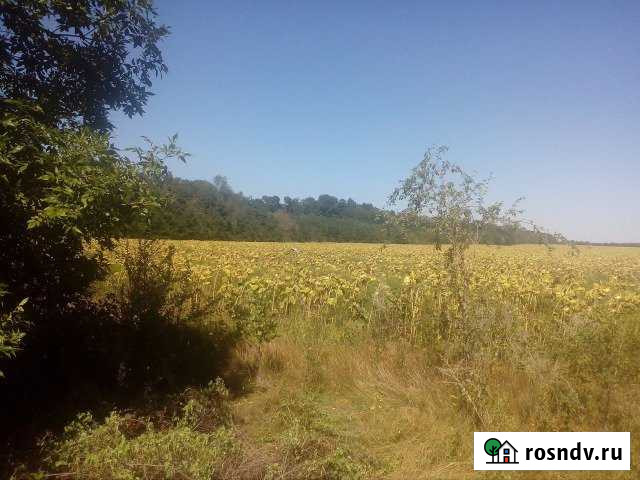 Участок ИЖС 533985 сот. на продажу в Аксае Ростовской области Аксай - изображение 1