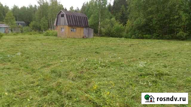 Участок ИЖС 11 сот. на продажу в Нурме Нурма - изображение 1