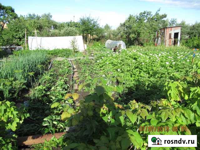 Участок СНТ, ДНП 5 сот. на продажу в Иваново Иваново - изображение 1