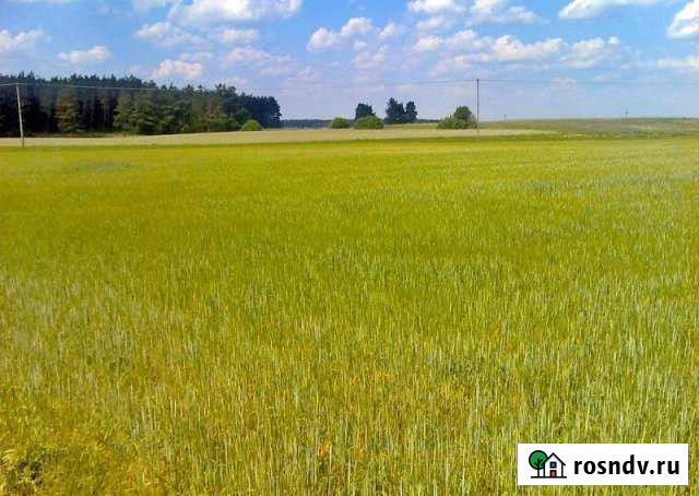 Участок СНТ, ДНП 1200 сот. на продажу в Щёлкино Щёлкино - изображение 1