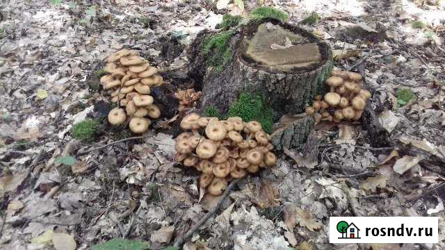 Участок ИЖС 8 сот. на продажу в Саратовской Саратовская - изображение 1