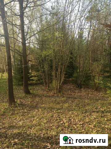 Участок СНТ, ДНП 8 сот. на продажу в Мещерино Мещерино - изображение 1