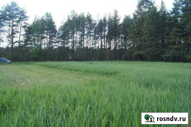 Участок СНТ, ДНП 30 сот. на продажу в Весьегонске Весьегонск - изображение 1