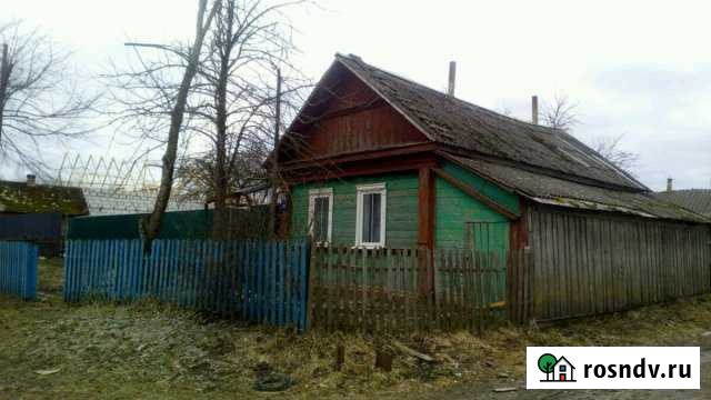 Дом 50 м² на участке 12 сот. на продажу в Мглине Мглин - изображение 1