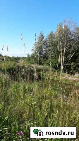 Участок СНТ, ДНП 100 сот. на продажу в Рахье Рахья - изображение 1