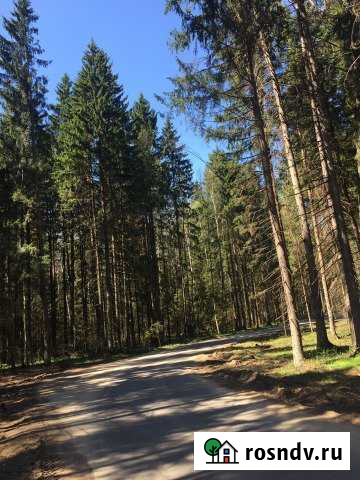 Участок СНТ, ДНП 9 сот. на продажу в Селятино Селятино - изображение 1