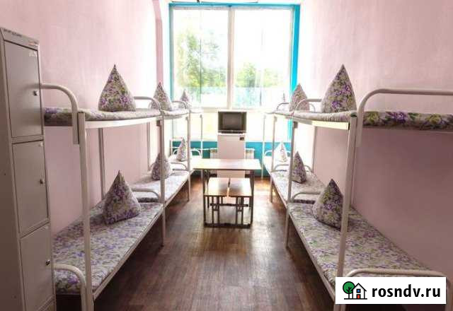 Общежитие на ул Академика Книповича на 433человека Мурманск - изображение 1