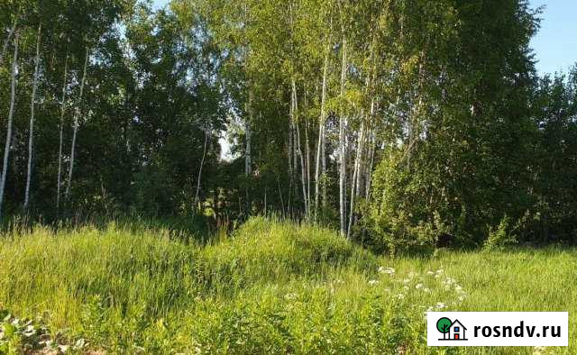 Участок СНТ, ДНП 6 сот. на продажу в Балашихе Балашиха - изображение 1