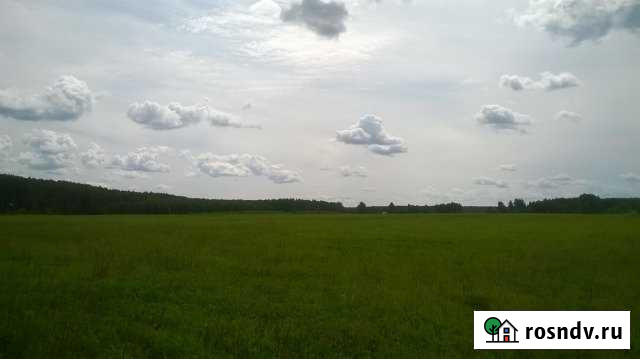 Участок СНТ, ДНП 1000 сот. на продажу в Балахне Балахна - изображение 1