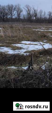 Участок СНТ, ДНП 10 сот. на продажу в Кинеле Кинель - изображение 1