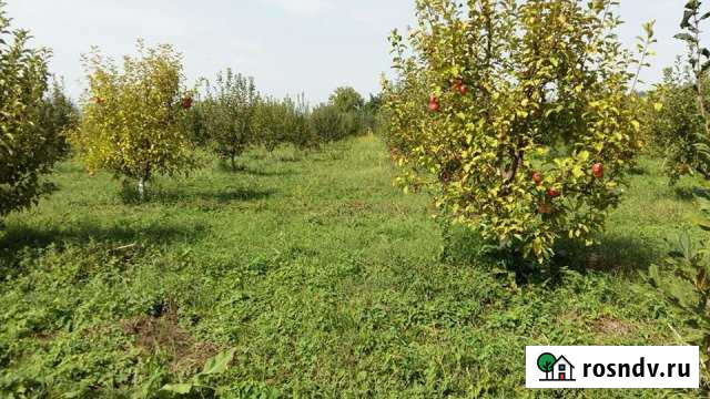 Участок ИЖС 24 сот. на продажу в Касумкенте Касумкент - изображение 1