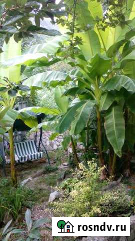 Дом 40 м² на участке 6 сот. в аренду посуточно в Туапсе Туапсе - изображение 1