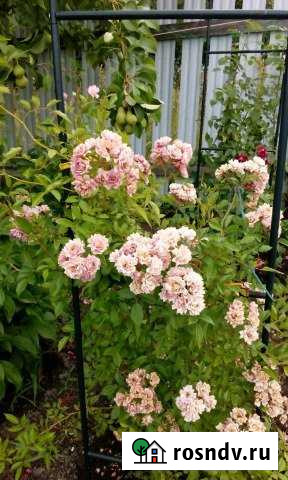 Дача 56 м² на участке 7 сот. на продажу в Дубовом Умете Дубовый Умет - изображение 1