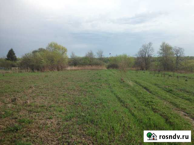 Участок ИЖС 45 сот. на продажу в Луховицах Луховицы - изображение 1