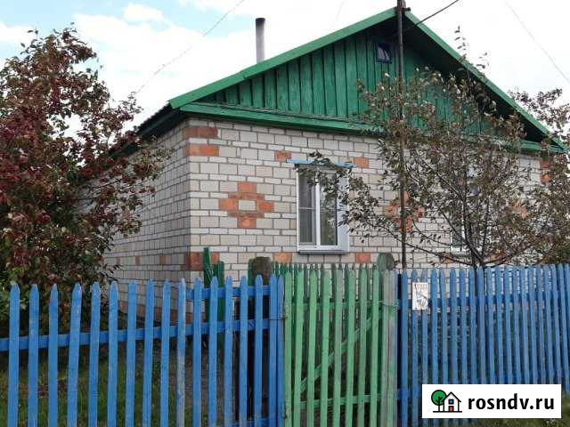 Дом 51 м² на участке 60 сот. на продажу в Карасуке Карасук - изображение 1