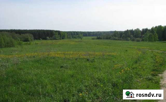 Участок СНТ, ДНП 120 сот. на продажу в Хвойной Хвойная - изображение 1