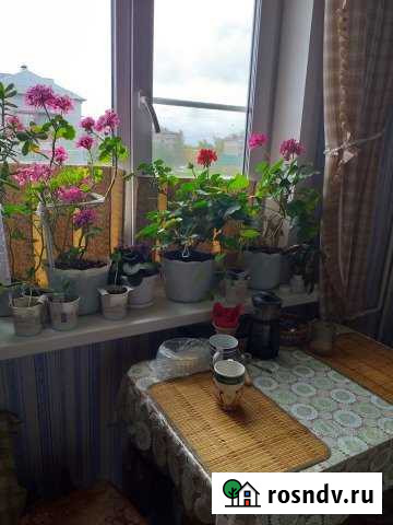 3-комнатная квартира, 64 м², 4/5 эт. на продажу в Микуне Микунь - изображение 1