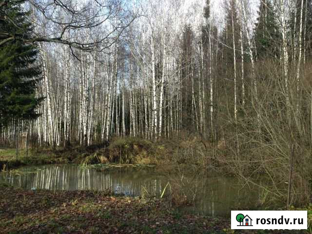 Участок СНТ, ДНП 30 сот. на продажу в Поварово Поварово - изображение 1