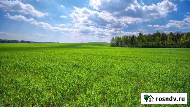 Участок ИЖС 10 сот. на продажу в Полтавской Полтавская - изображение 1