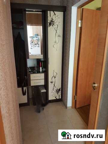 2-комнатная квартира, 48 м², 2/2 эт. на продажу в Абинске Абинск - изображение 1