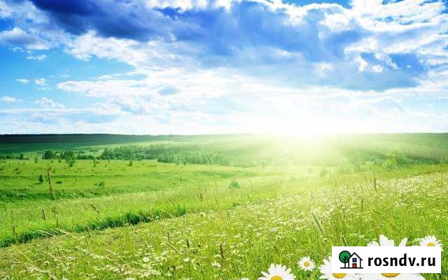 Участок СНТ, ДНП 460 сот. на продажу в Норильске Норильск - изображение 1