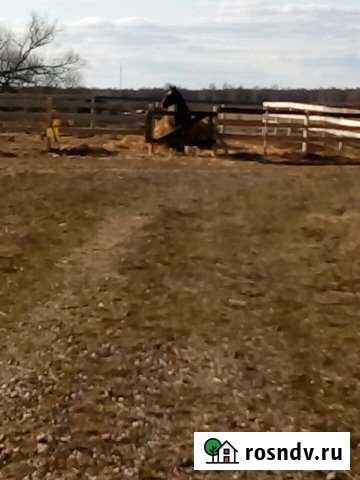 Участок СНТ, ДНП 9 сот. на продажу в Реммаше Реммаш - изображение 1