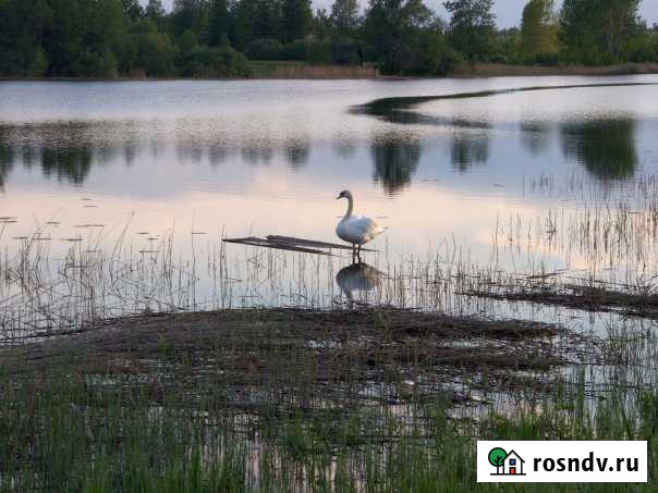 Участок ИЖС 24 сот. на продажу в Пустошке Пустошка - изображение 1