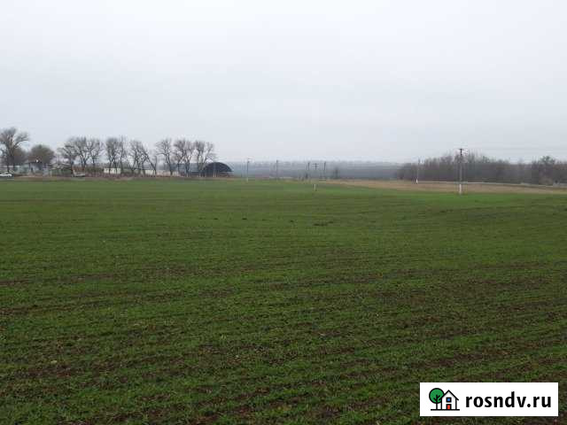 Участок ИЖС 120 сот. на продажу в Выселках Выселки - изображение 1