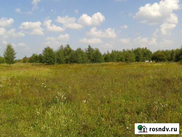 Участок СНТ, ДНП 50 сот. на продажу в Раменском Раменское - изображение 1