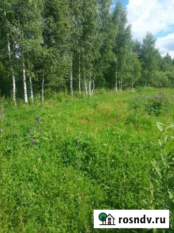 Участок СНТ, ДНП 28 сот. на продажу в Кашине Кашин - изображение 1