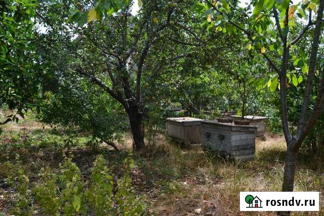 Участок СНТ, ДНП 9 сот. на продажу в Виноградном Виноградный - изображение 1