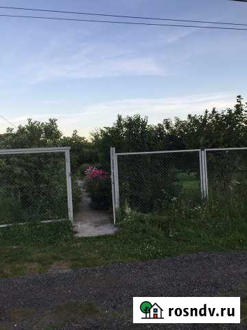 Дача 20 м² на участке 6 сот. в аренду на длительный срок в Апрелевке Апрелевка - изображение 1