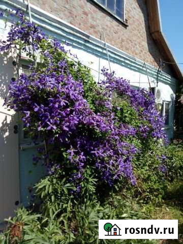 Коттедж 70 м² на участке 20 сот. на продажу в Троицкой Краснодарского края Троицкая - изображение 1