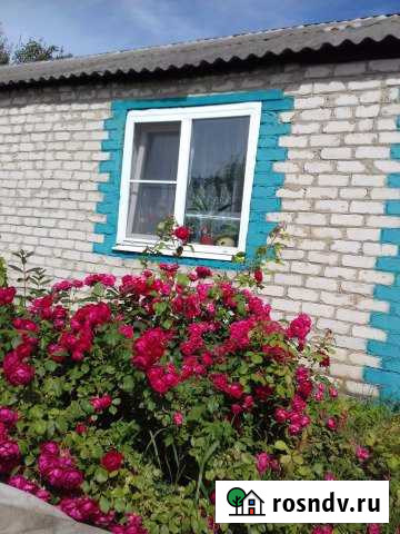 Дом 60 м² на участке 8 сот. на продажу в Пронске Пронск - изображение 1