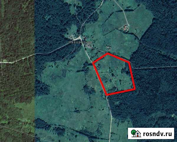 Участок СНТ, ДНП 690 сот. на продажу в Краснознаменске Калининградской области Краснознаменск - изображение 1