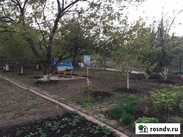 Дача 20 м² на участке 5 сот. на продажу в Армавире Армавир - изображение 1