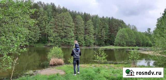 Участок СНТ, ДНП 270 сот. на продажу в Буревестнике Буревестник - изображение 1