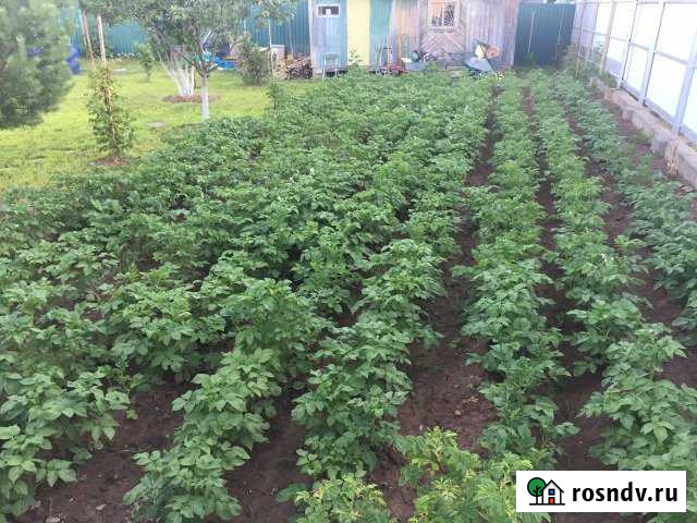 Участок СНТ, ДНП 6 сот. на продажу в Домодедово Домодедово - изображение 1