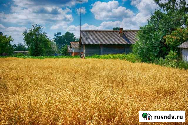 Участок ИЖС 25 сот. на продажу в Ишлеях Ишлеи - изображение 1